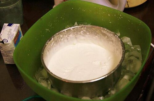 Passion Ice-cream (Kem Chanh Dây)