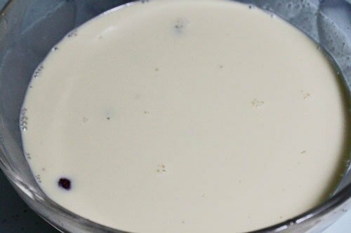 Rhum Ice-cream with Raisin (Kem Rum và Nho Khô)