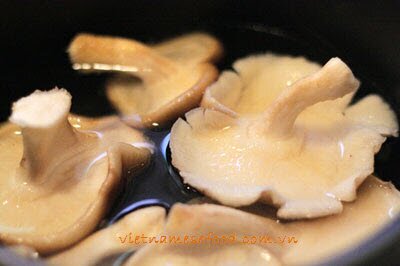 stir-fried-mushrooms-with-loopah-recipe-nam-xao-muop