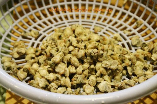 Stir-fried Jack Fruit with Mussel Recipe (Mít Xào Hến) Stir-fried Jack Fruit with Mussel Recipe (Mít Xào Hến)