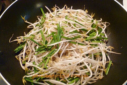 Stir fried Beef with Bean Sprout and Shallot Recipe (Bò Xào Giá Hẹ)