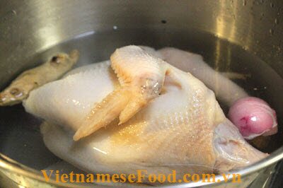 mixed-chicken-pho-salad-pho-ga-tron mixed-chicken-pho-salad-pho-ga-tron