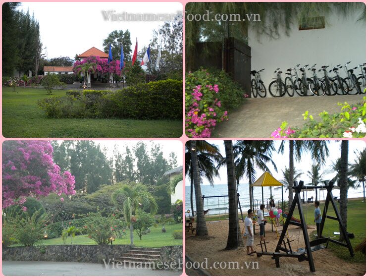 www.vietnamesefood.com.vn/diary-of-trips www.vietnamesefood.com.vn/diary-of-resorts
