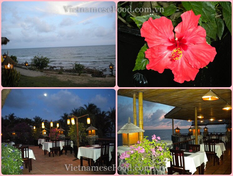 www.vietnamesefood.com.vn/diary-of-trips www.vietnamesefood.com.vn/diary-of-resorts