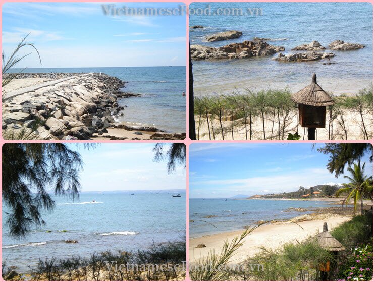 www.vietnamesefood.com.vn/diary-of-trips www.vietnamesefood.com.vn/diary-of-resorts