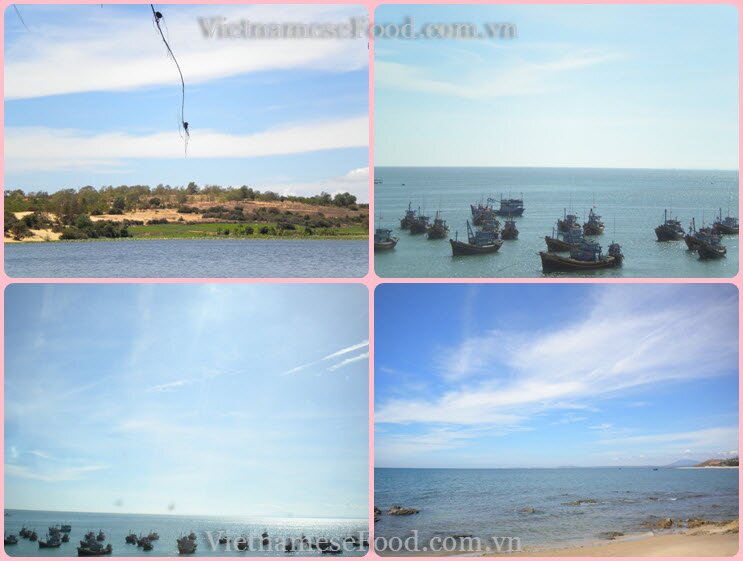 www.vietnamesefood.com.vn/diary-of-trips www.vietnamesefood.com.vn/diary-of-resorts