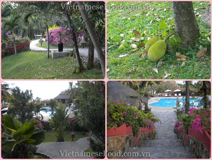 www.vietnamesefood.com.vn/diary-of-trips www.vietnamesefood.com.vn/diary-of-resorts