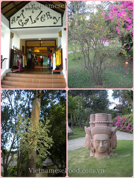 www.vietnamesefood.com.vn/diary-of-trips www.vietnamesefood.com.vn/diary-of-resorts