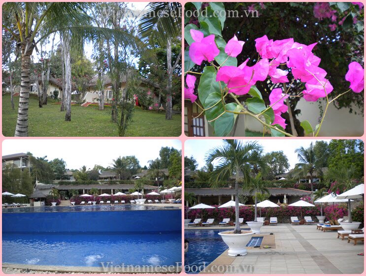 www.vietnamesefood.com.vn/diary-of-trips www.vietnamesefood.com.vn/diary-of-resorts